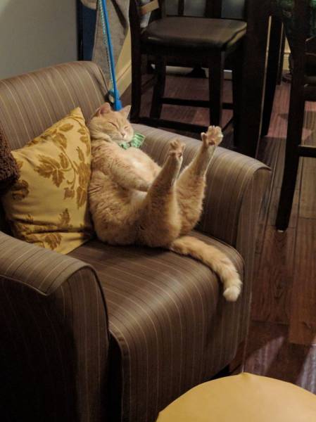 Daily Picdump