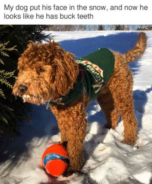 Daily Picdump