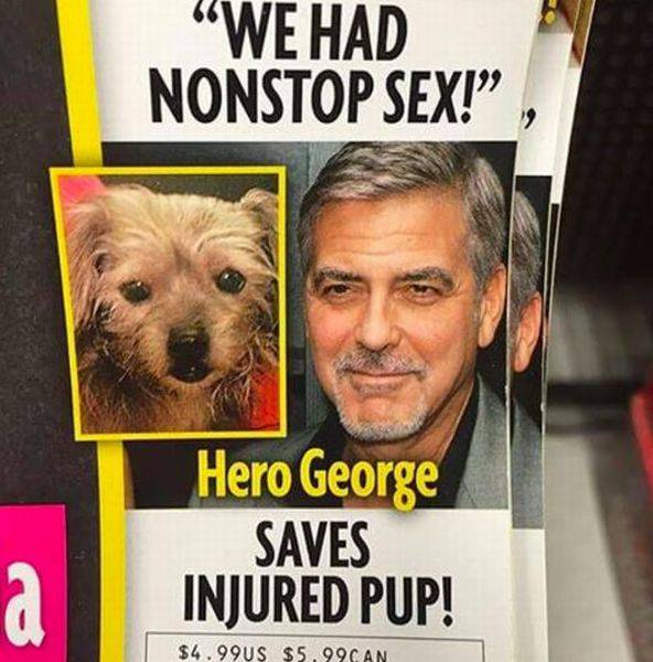 Content Image