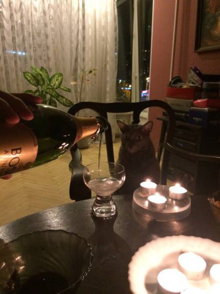 Morning Picdump