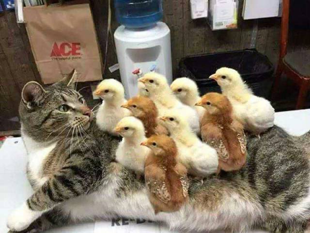 Morning Picdump
