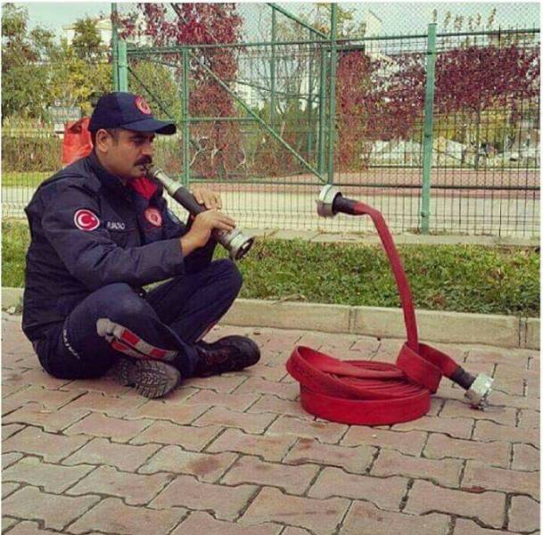 Content Image