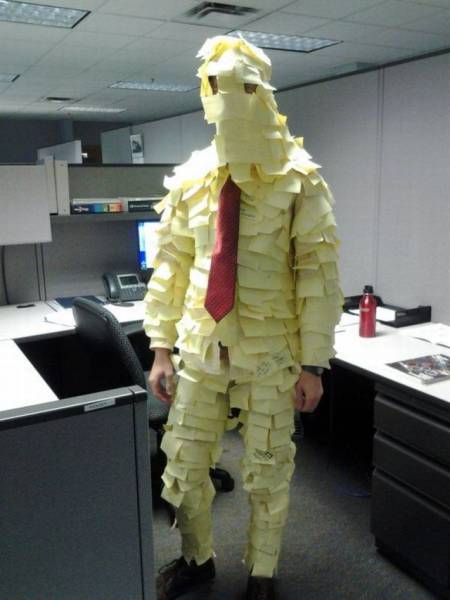 Daily Picdump