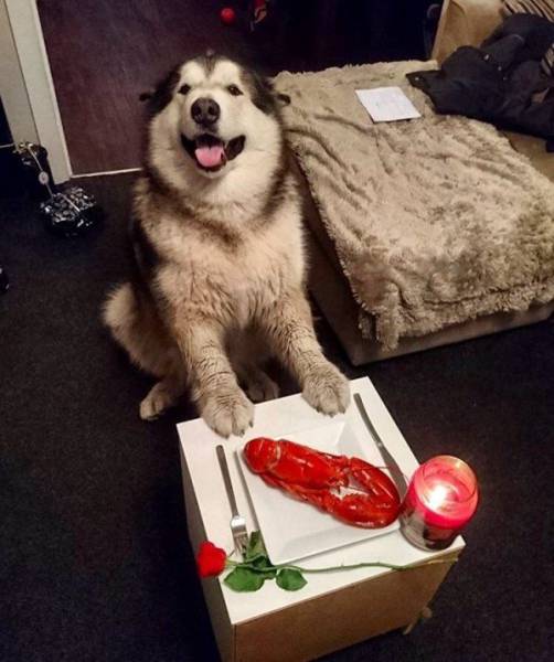 Daily Picdump