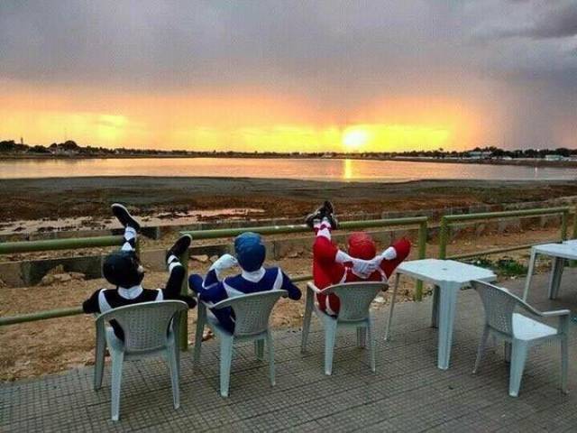 Daily Picdump