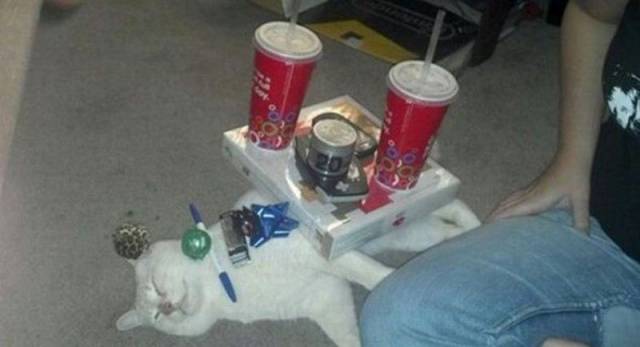 Daily Picdump