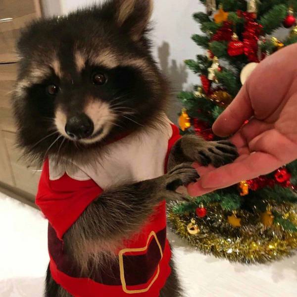 Daily Picdump