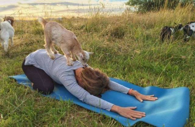 Daily Picdump