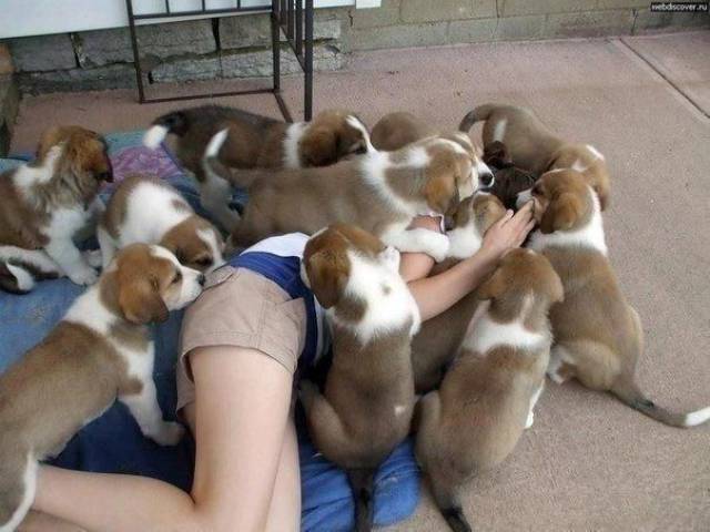Daily Picdump