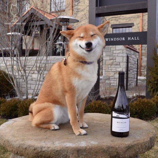 Daily Picdump