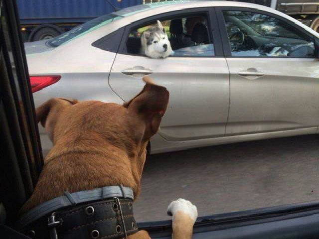 Content Image