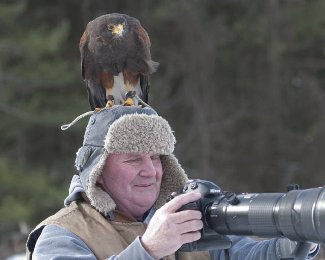 Content Image