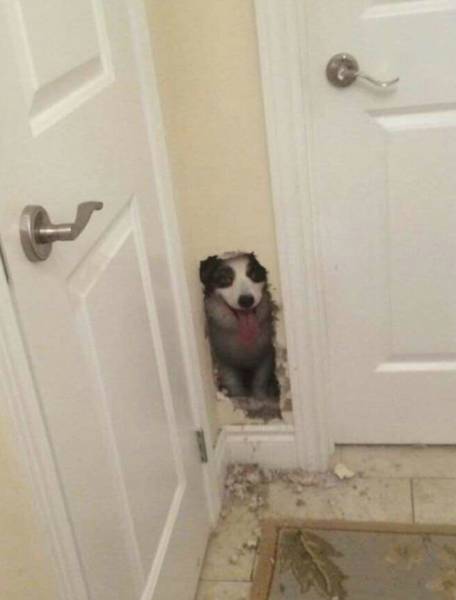 Morning Picdump