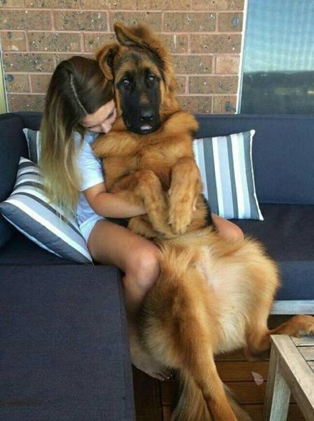 Morning Picdump